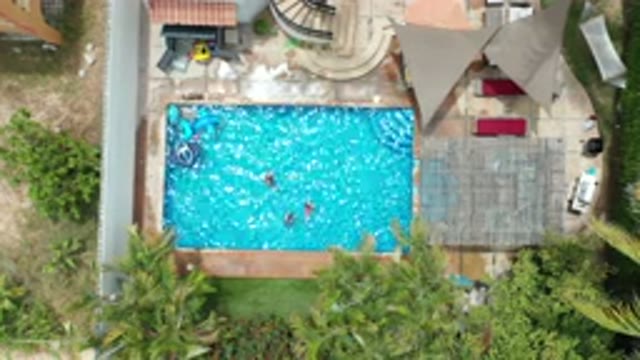 LOS CABOS MEXICO-2020: People Enjoying in the Swimming Pool and Dog Running