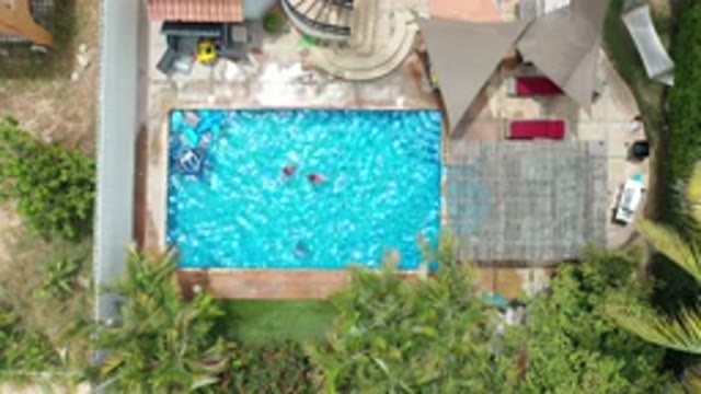 LOS CABOS MEXICO-2020: Three People Swimming In Ground Swimming Pool Dog Runs