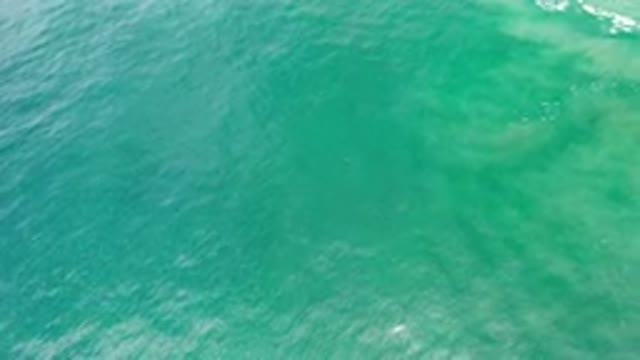 LOS CABOS MEXICO-2020: Greatest Scene of a Green Sea Relaxes Me