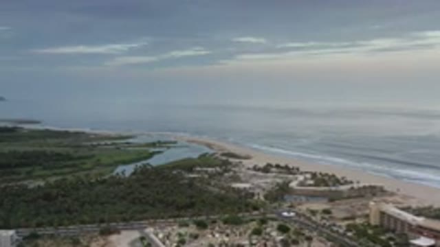 LOS CABOS MEXICO-2020: Long View of Beachside Trees and Ocean