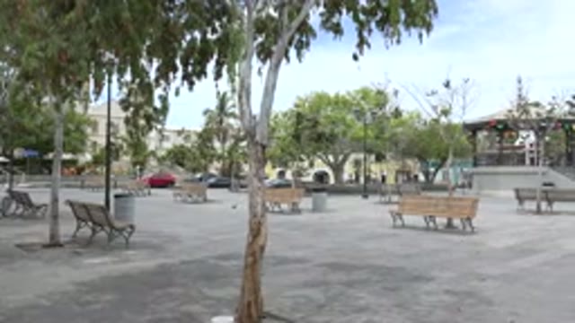 LOS CABOS MEXICO-2020: View Of A Cement Walkway In Town With Trees And Sunny