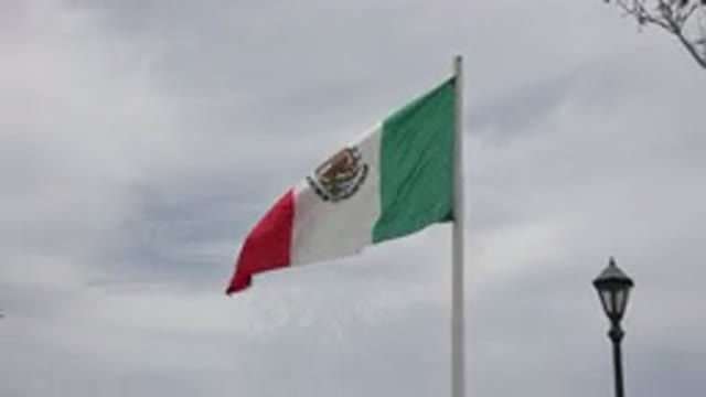 LOS CABOS MEXICO-2020: The Mexican Flag Flies From A Flagpole On A Windy Day