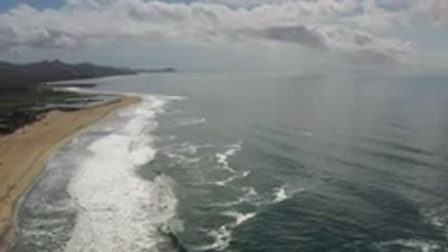 LOS CABOS MEXICO-2020: An Ocean Lay Out On Beach Front With A Tree Line