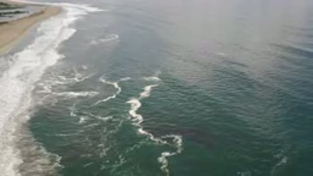 LOS CABOS MEXICO-2020: Long View Of Beach With Large Number Of White Sand