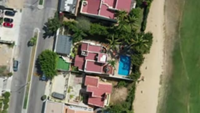 LOS CABOS MEXICO-2020: Beautiful Palm Trees Overlaying Uniquely Shaped Buildings