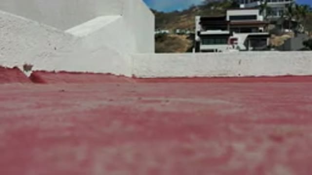 LOS CABOS MEXICO-2020: Shot From The Ground Focusing On The Contrast Between A