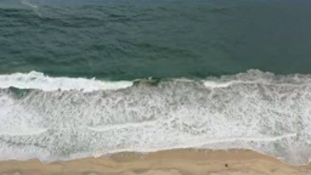 LOS CABOS MEXICO-2020: My Wonderful Day by the Beach