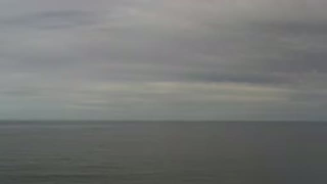 LOS CABOS MEXICO-2020: Foggy Landscape With Wild Nature and Muted Tones