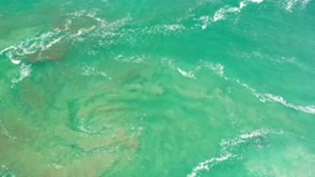 LOS CABOS MEXICO-2020: The Tides of Earth, The World That Turns, Relaxing Tides