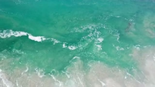 LOS CABOS MEXICO-2020: Those Great Mystic Waters