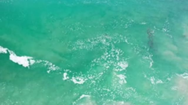 LOS CABOS MEXICO-2020: Camera Panning Over Teal Ocean With Mild Waves And Whitecaps