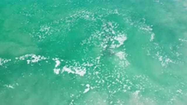 LOS CABOS MEXICO-2020: White Foams in a Green Deep Sea