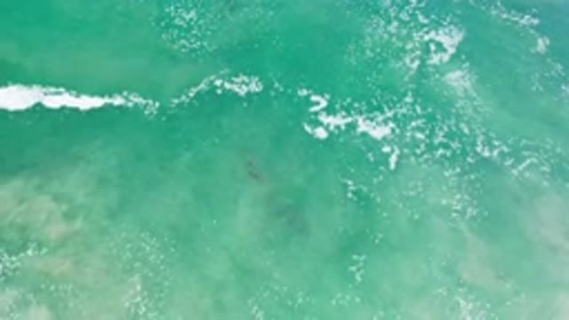 LOS CABOS MEXICO-2020: Drone Shot Of The Clean And Clear Ocean Waves With Sea Foam