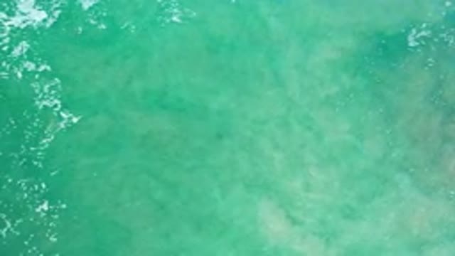 LOS CABOS MEXICO-2020: The Tropical Adventure Of Watching The Ocean Waves