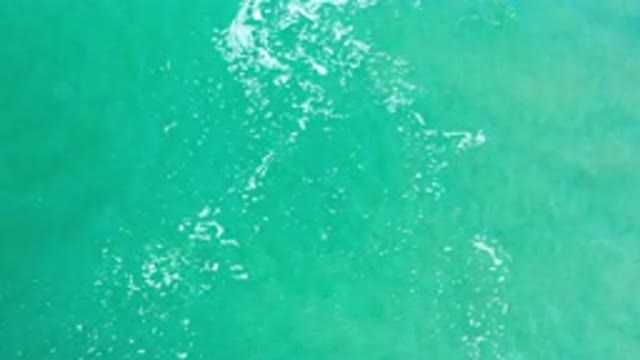 LOS CABOS MEXICO-2020: Crystal Clear Waters Calm Sea Great Place For A Beautiful