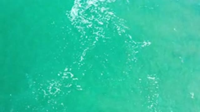 LOS CABOS MEXICO-2020: The Sea View Beautiful