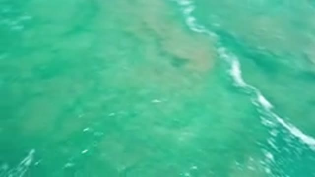 LOS CABOS MEXICO-2020: Different Aerial Angles of a Green Sea