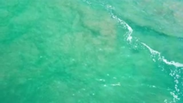LOS CABOS MEXICO-2020: An Amazing And Beautiful Ocean