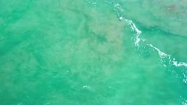 LOS CABOS MEXICO-2020: A Bird's Eye View Of Water Moving Over Reef