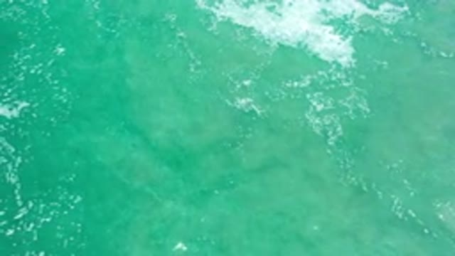 LOS CABOS MEXICO-2020: Clear And Clean Ocean Water
