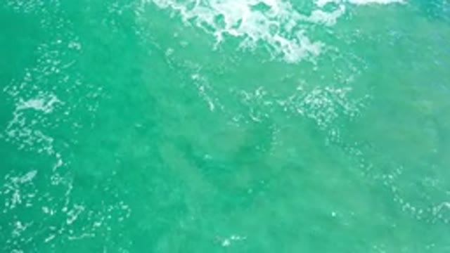 LOS CABOS MEXICO-2020: Green Ocean With Sea Foam