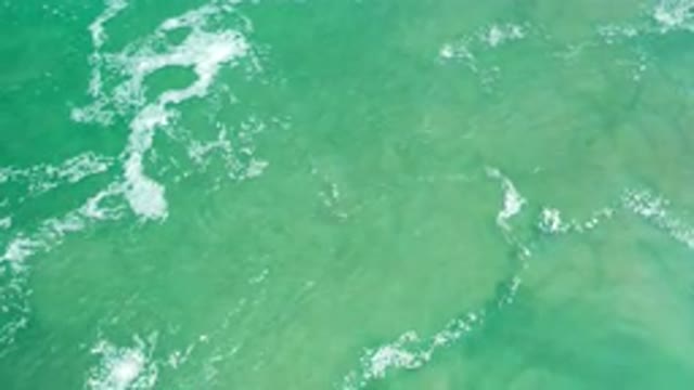 LOS CABOS MEXICO-2020: The Pure Water Is Flowing In The River