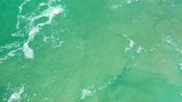 LOS CABOS MEXICO-2020: Green And Deep Sea Everyone Should See