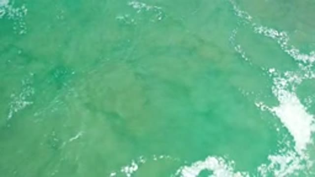 LOS CABOS MEXICO-2020: The Sandy Ocean Floor Churning in Green Foamy Rippling