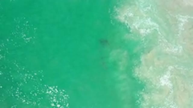 LOS CABOS MEXICO-2020: Shallow Waves Near A Beach