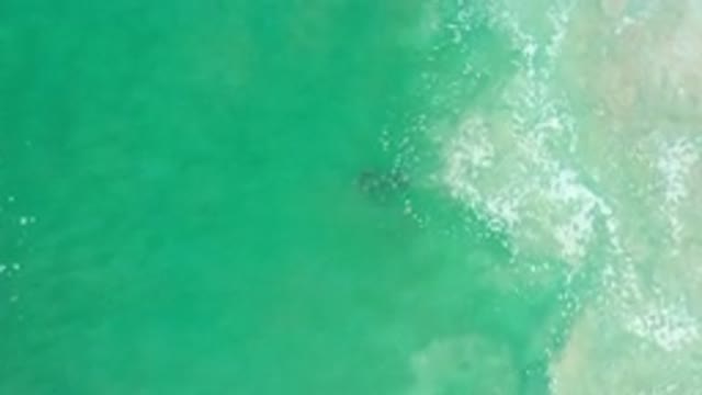 LOS CABOS MEXICO-2020: Sand And Crystal Water Sea