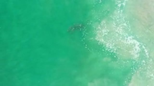 LOS CABOS MEXICO-2020: Aerial Footage Of A Giant Pool Of Green Water