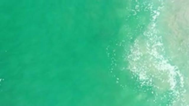 LOS CABOS MEXICO-2020: An Overhead View Of White Foam Floating On The Surface Of