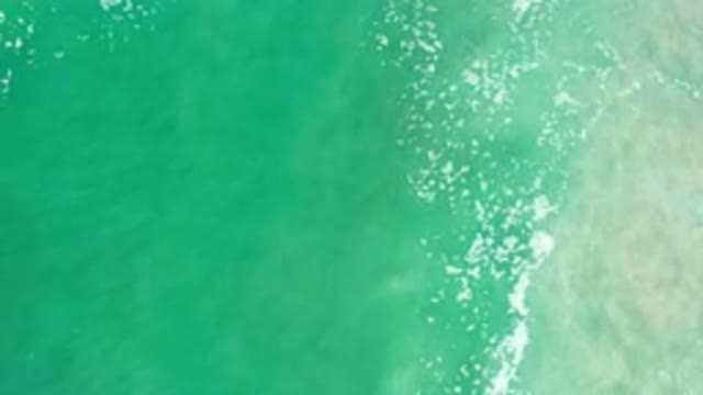 LOS CABOS MEXICO-2020: White Foam Drifts Slowly On Surface Of Bright Green