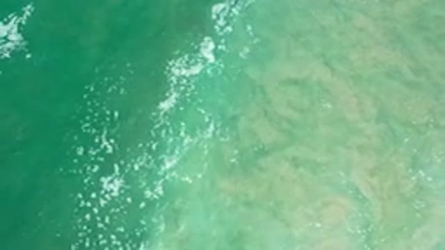 LOS CABOS MEXICO-2020: The Beach I Would Like To Spend The Day With My Family