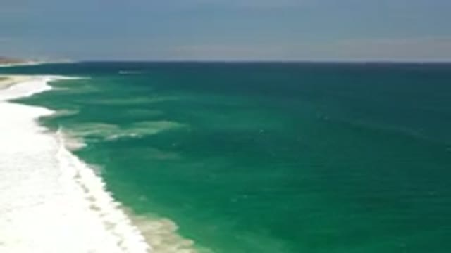 LOS CABOS MEXICO-2020: Seashore Beauty