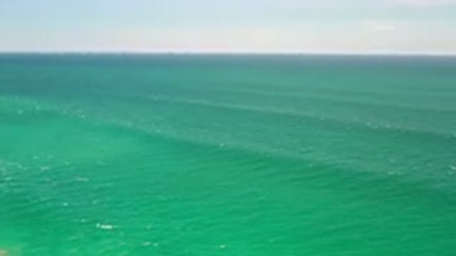 LOS CABOS MEXICO-2020: A Vast Green Sea in Los Cabos