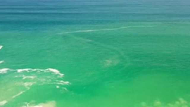 LOS CABOS MEXICO-2020: Beautiful Still Crystal Clear Blue Green Water Of The