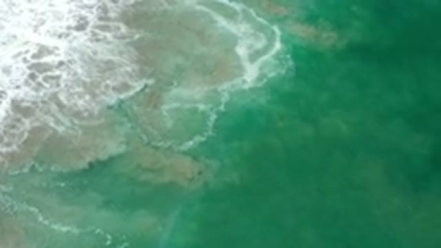 LOS CABOS MEXICO-2020: Beautiful And Turquoise Green Sea That Makes You Want To