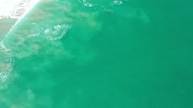 LOS CABOS MEXICO-2020: Blue Water Sea Shore Near Desert Beach