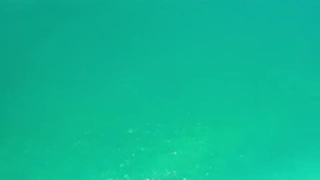 LOS CABOS MEXICO-2020: White And Gold Sparkles Fall On A Teal Colored Background