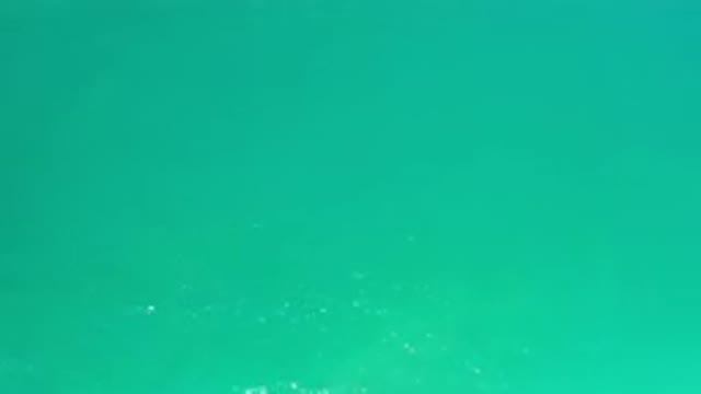 LOS CABOS MEXICO-2020: The Cleanest Sea