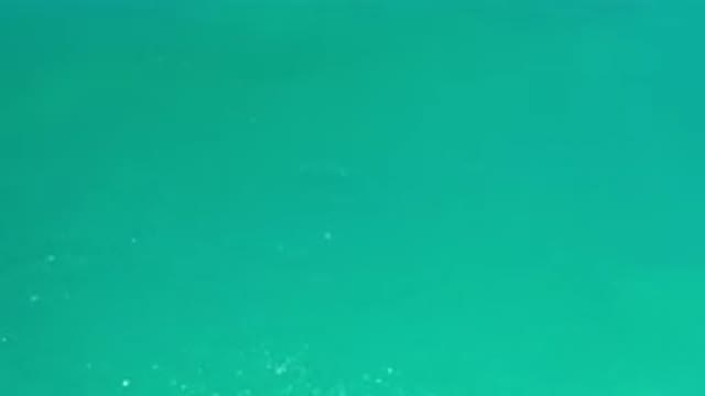 LOS CABOS MEXICO-2020: Lost In The Absolute Depth Of The Immensity Of The
