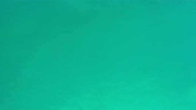 LOS CABOS MEXICO-2020: Clear and Green Ocean Water