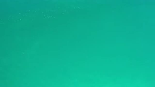 LOS CABOS MEXICO-2020: As This Sea Is Incredible Crystal Clear And Calm Waters