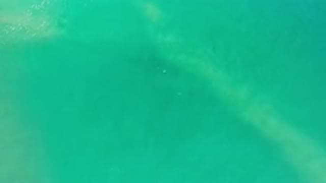 LOS CABOS MEXICO-2020: Clear Sparkling Water Showing As It Is Freely Roaming Its