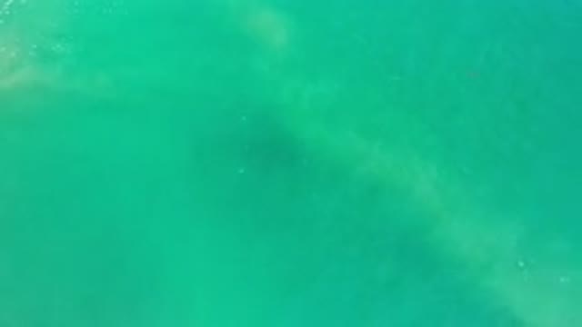 LOS CABOS MEXICO-2020: A Splendid View Of The Sea From Above