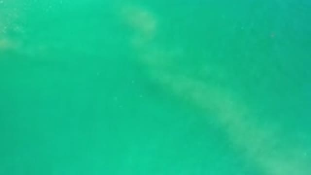 LOS CABOS MEXICO-2020: Clear Green Sea Everyone Must See