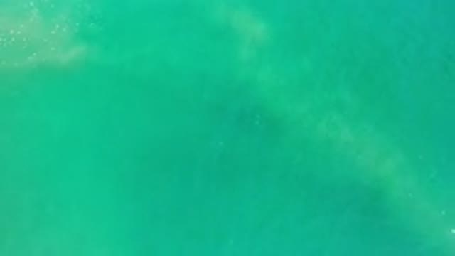 LOS CABOS MEXICO-2020: Aerial Footage Of Clean Water And No Animals In Sight
