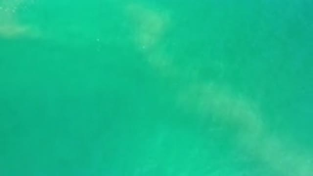 LOS CABOS MEXICO-2020: Calm Clear Green Ocean Water That You Can See Deep