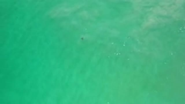 LOS CABOS MEXICO-2020: Drone View Of An Object Beneath The Surface Of The Water